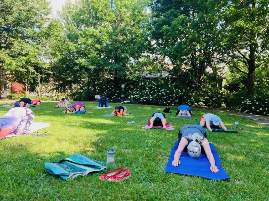 Yoga In The Park  glynn-environmental
